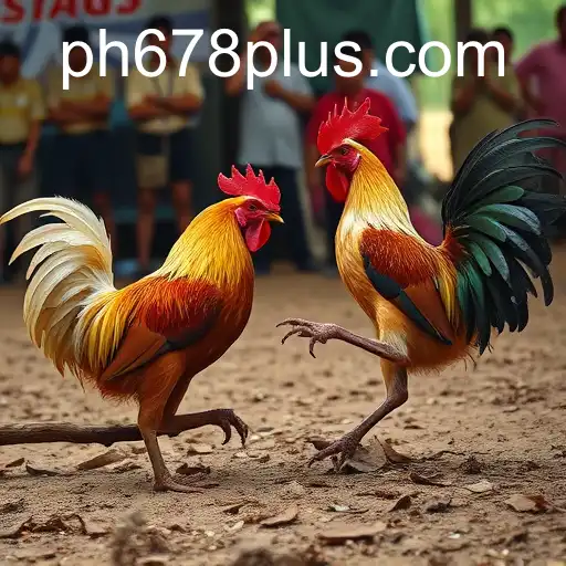 The Thrilling World of Sabong Games